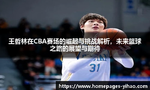 王哲林在CBA赛场的崛起与挑战解析，未来篮球之路的展望与期待